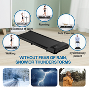 350lbs Treadmill for Home 2.5HP Treadmills Walking Pad LCD Digital Data Display 2in1 Walking Running Fitness Exercise Machine